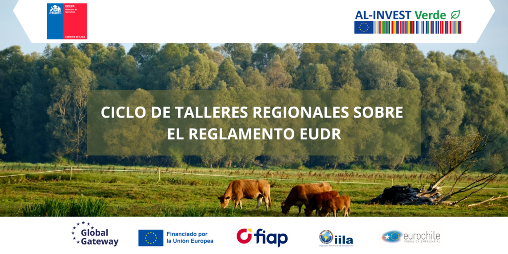 CICLO DE TALLERES REGIONALES DE CAPACITACIÓN EUDR V1 (1)
