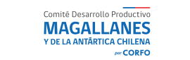 magallanes magallanes